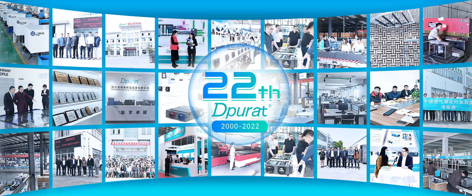 Dpurat company